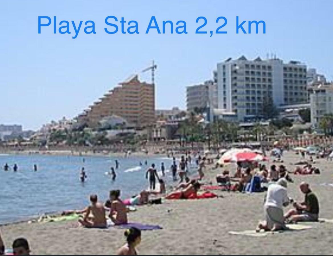 Saltillo Alto White * Torremolinos